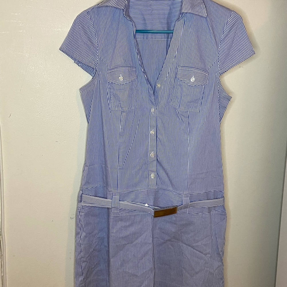 Express Striped Dress